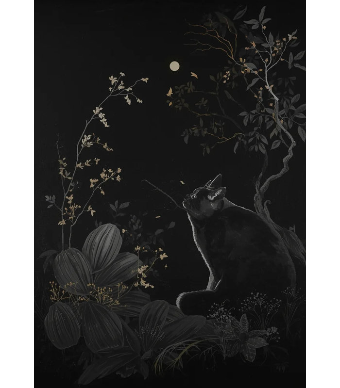 Lunar Gaze