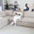 Slipcovered Upholstered Modular Sofa With Ottoman-112680361-110374990