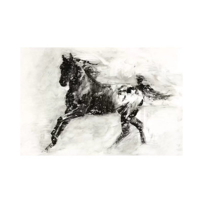 Rustic Appaloosa II by Ethan Harper - Wrapped Canvas Print
