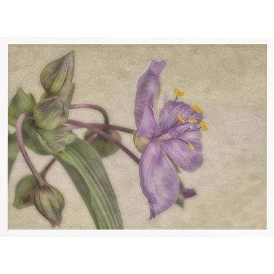 "Mauve fleur", art mural texturé encadré