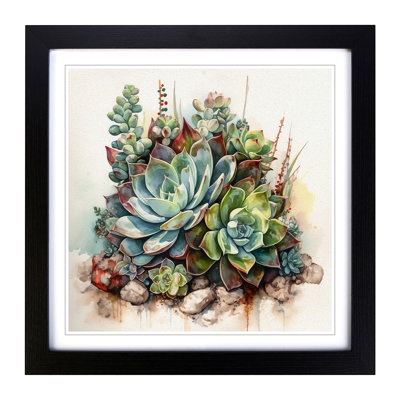 Succulent Watercolour No.1 - Framed Print