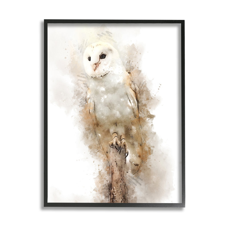 Perchoir effraie des clochers, art de la giclée noire encadrée par Kim Curationa, Giclée encadrée noir minuit