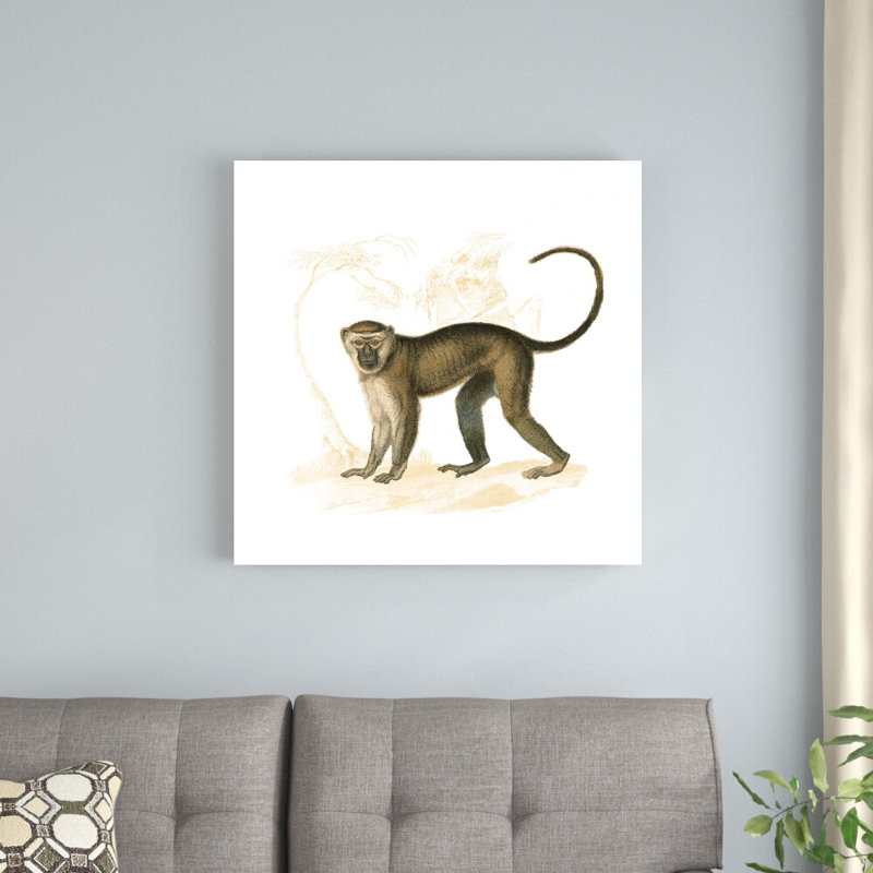 Golden Monkey - peinture sur toile tendue, H 30 po x l 30 po