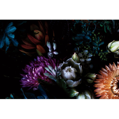 Paper Daisies And Blushing Brides by Elise Catterall - Wrapped Canvas Print