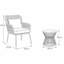 Carbini Polyethylene (PE) Wicker 2-Person With Cushions
