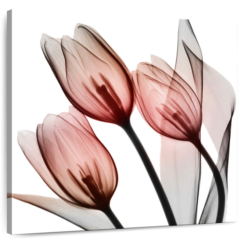 Arney Splendid Tulips, H 33 po x l 33 po