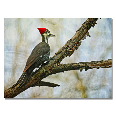 " Woodpecker II " by Lois Bryan