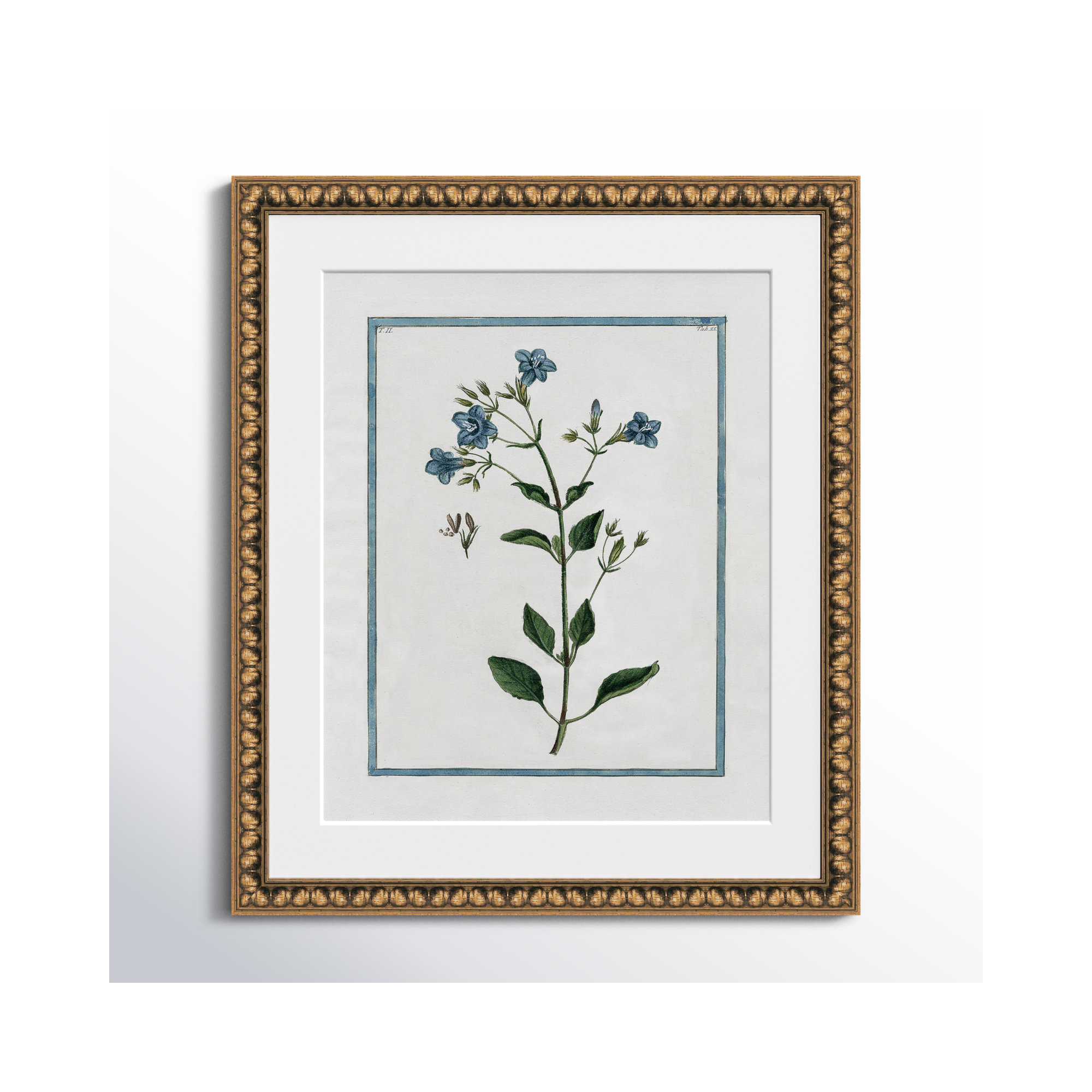 Shabby Elegance Botanical II - Framed Art, 17" W x 20" H, Gold Bead Framed