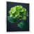 White Floater Framed