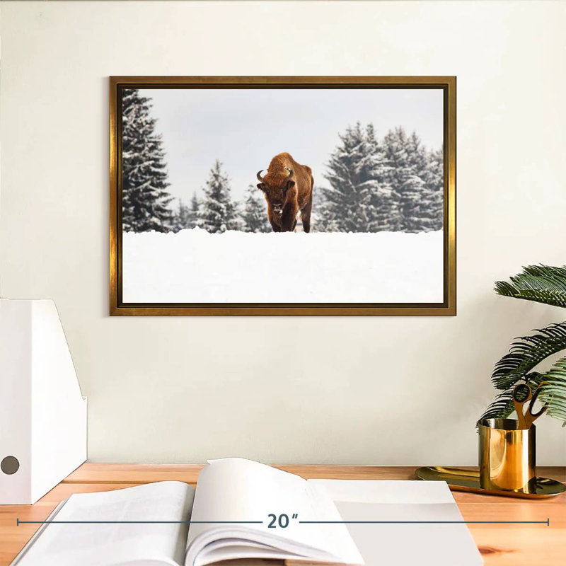 Bison aux champs d'hiver, 13 po x 9 po, Cadre flottant doré