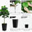60'' Faux Fir Tree in Planter