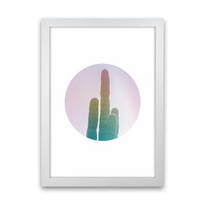 Circular Cacti - Print