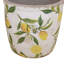 Charmantes jardinières en céramique de style campagnard, design multicolore citron pour la décoration intérieure