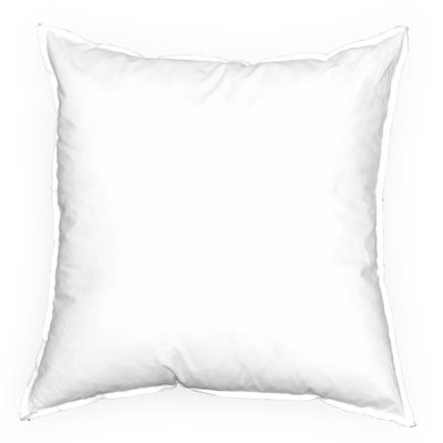 Reversible Pillow Insert