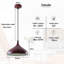 Giroux 1 - Light Burgundy Single Pendant-691485192