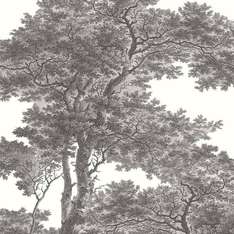 Trees 3m x 3m Photographic Wallpaper Roll