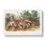 Two Cougars by J.W. Audubon - Wrapped Canvas-55361282