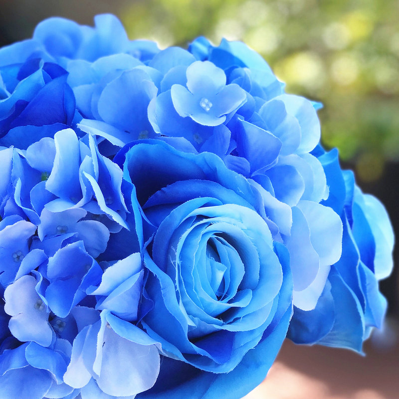 Hortensia à fleurs mélangées rose et vase, Bleu