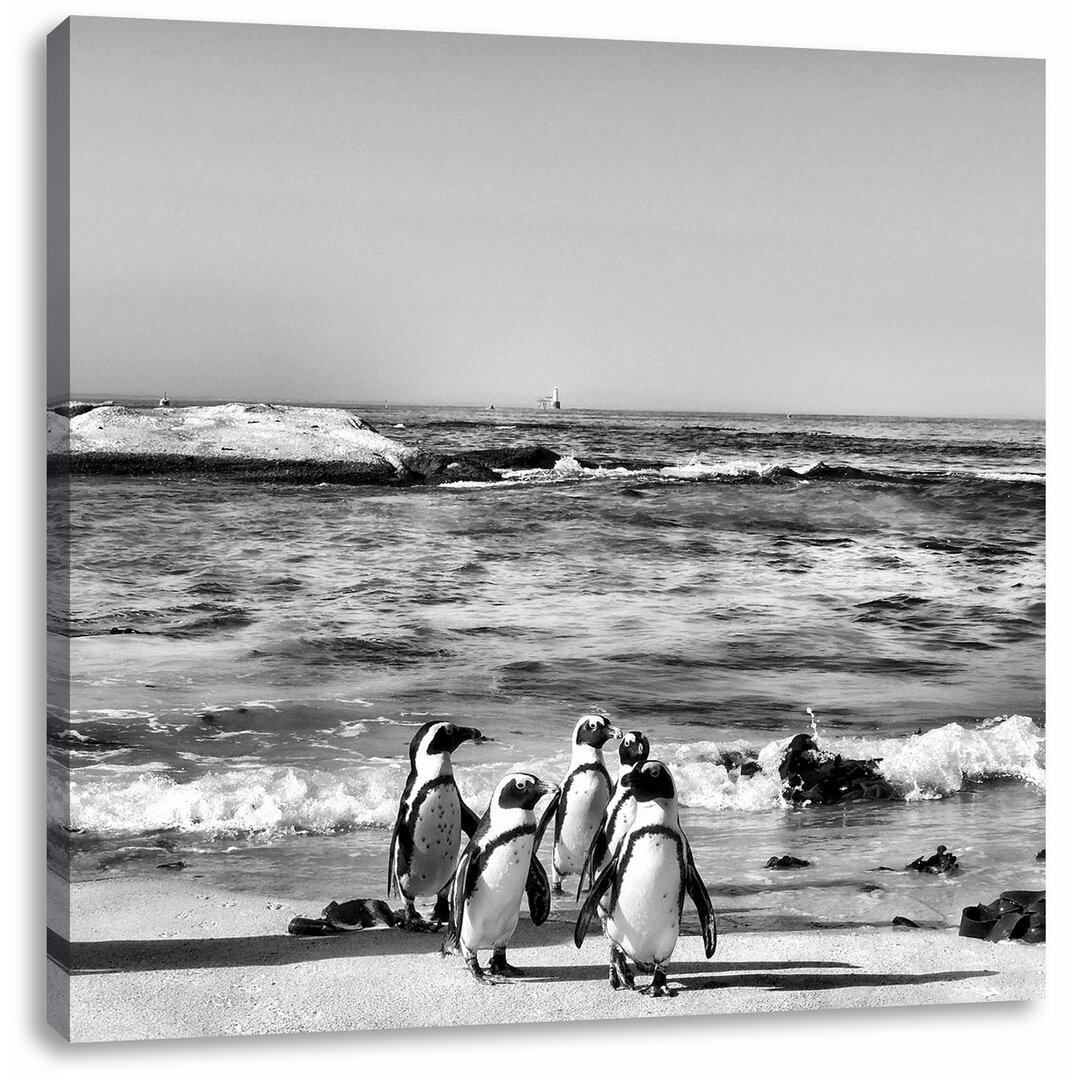 Leinwandbild Pinguine am Strand