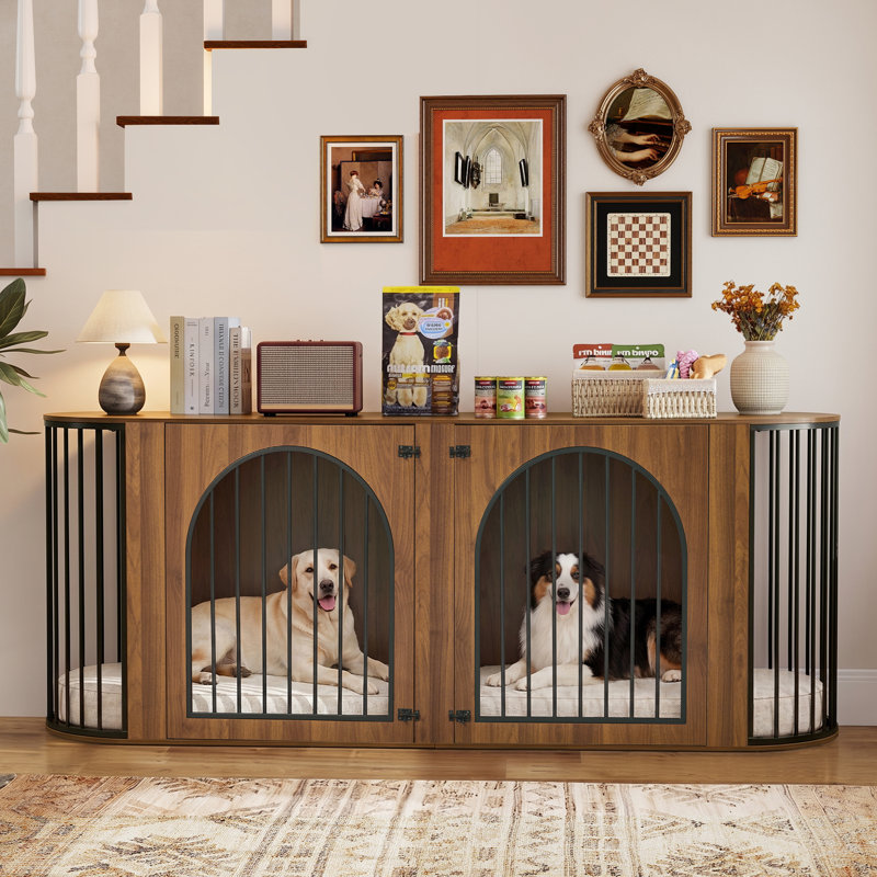 Cage double pour chien en métal de style moderne, Brun
