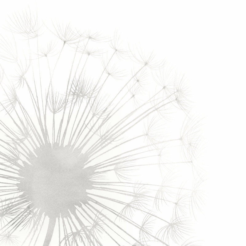 " Dandelion Whisper I " Painting Print, 36" H x 36" W