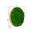 Round Framed Moss Wall Decor, Only The Medium Pc