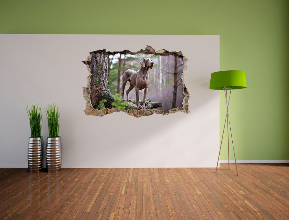 Anmutiger Weimaraner im Wald Wandsticker