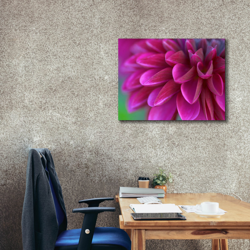 «Pink Chrysanthemum» par Photoinc Studio, art mural sur toile, 16 po x 12 po, H 26 po x l 34 po x P 1,5 po