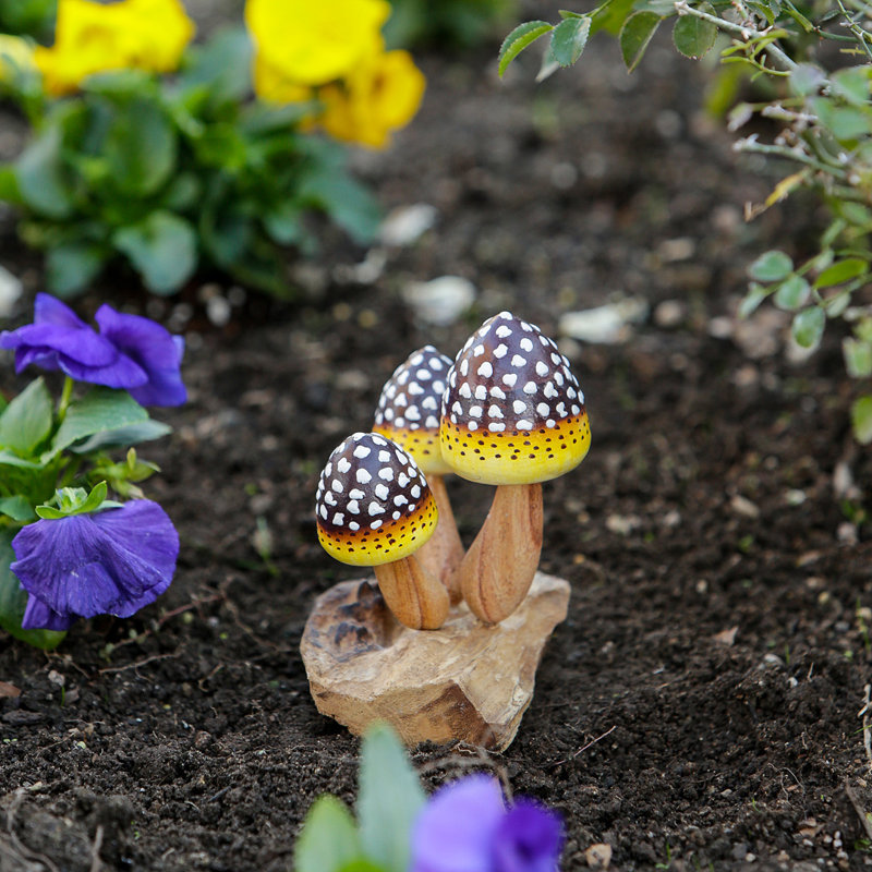 Parasite ananas champignon 3,5 x 4,5 x 6 po