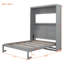 Grand lit escamotable mural avec tablettes, gris