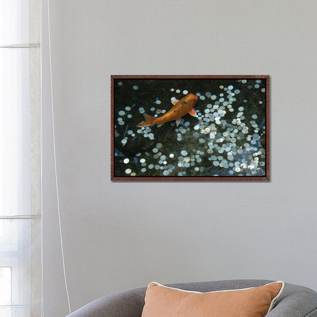 Koi With Coins In A Display At The Taronga Zoo von Joel Sartore - Gallery-Wrapped Canvas Giclée on Canvas