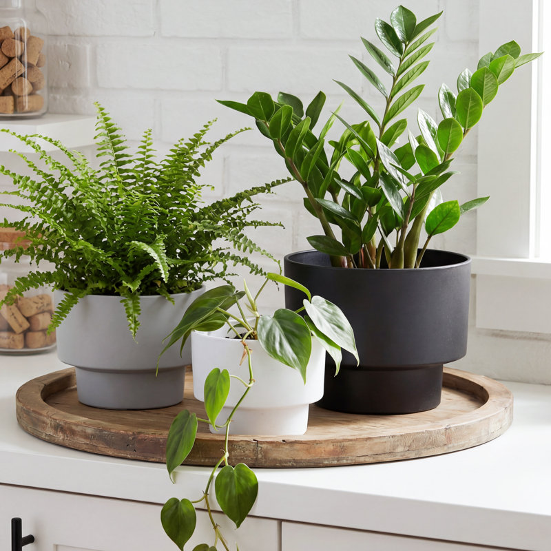 3-Piece Set PE Tiered Cylindrical Planters