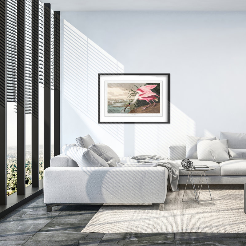 Nature Inspired Roseate Spoonbill From Birds Of America (1827), 30" H x 40" W