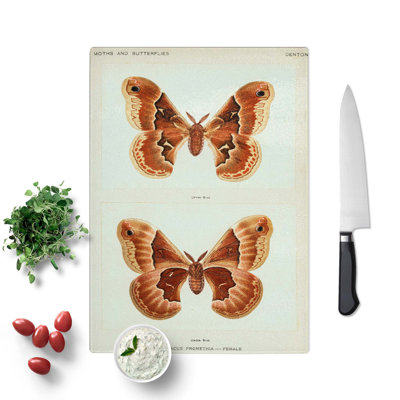 Tempered Glass Promethea Silk-Moth by S.F. Denton Chopping Board