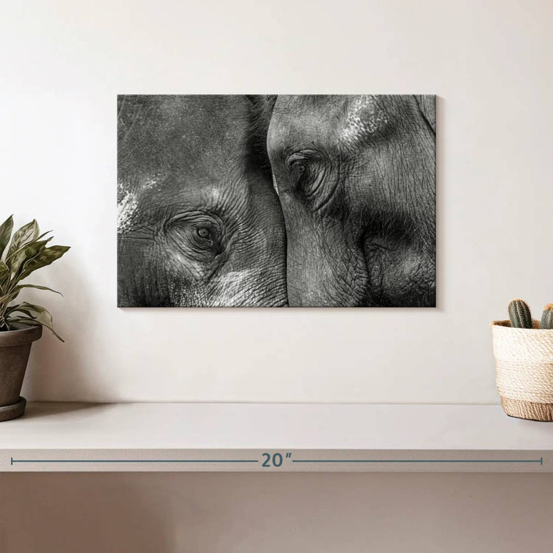 Éléphants inséparables, H 8 po x l 12 po