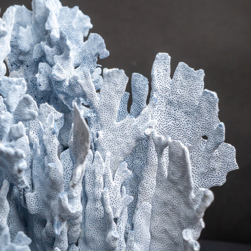 Genuine Blue Ridge Coral (16", 18.5 Lbs)