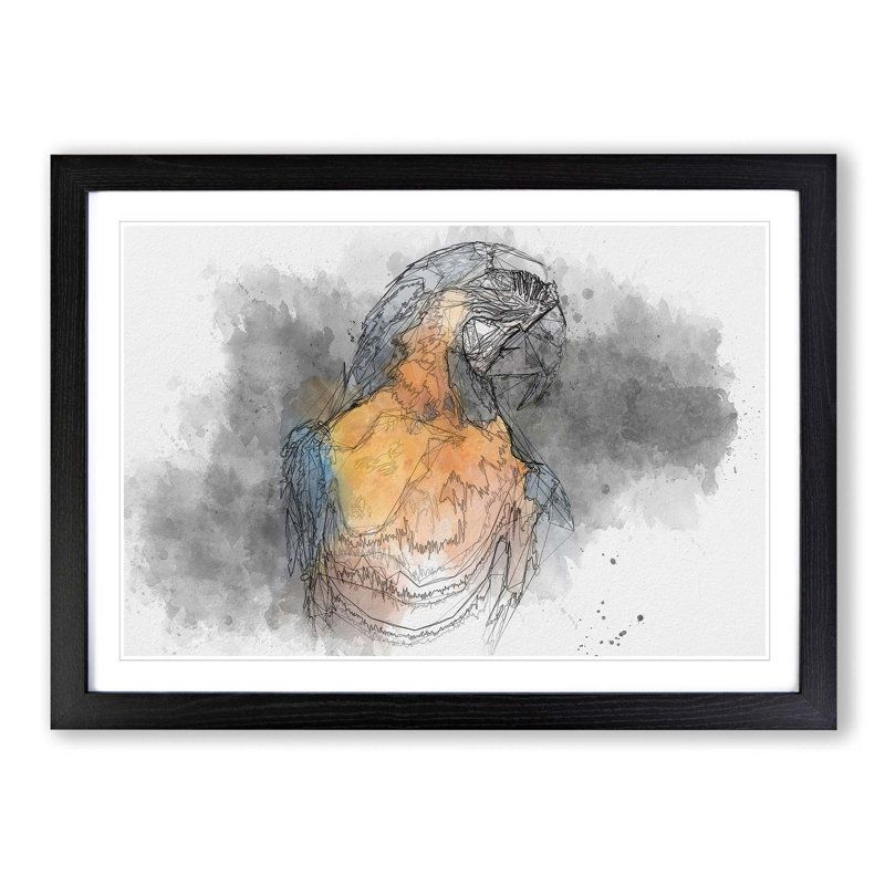 Blue and Yellow Macaw Parrot in Abstract - Picture Frame Drawing Print, 36cm H x 48cm W x 2cm D, Black Framed