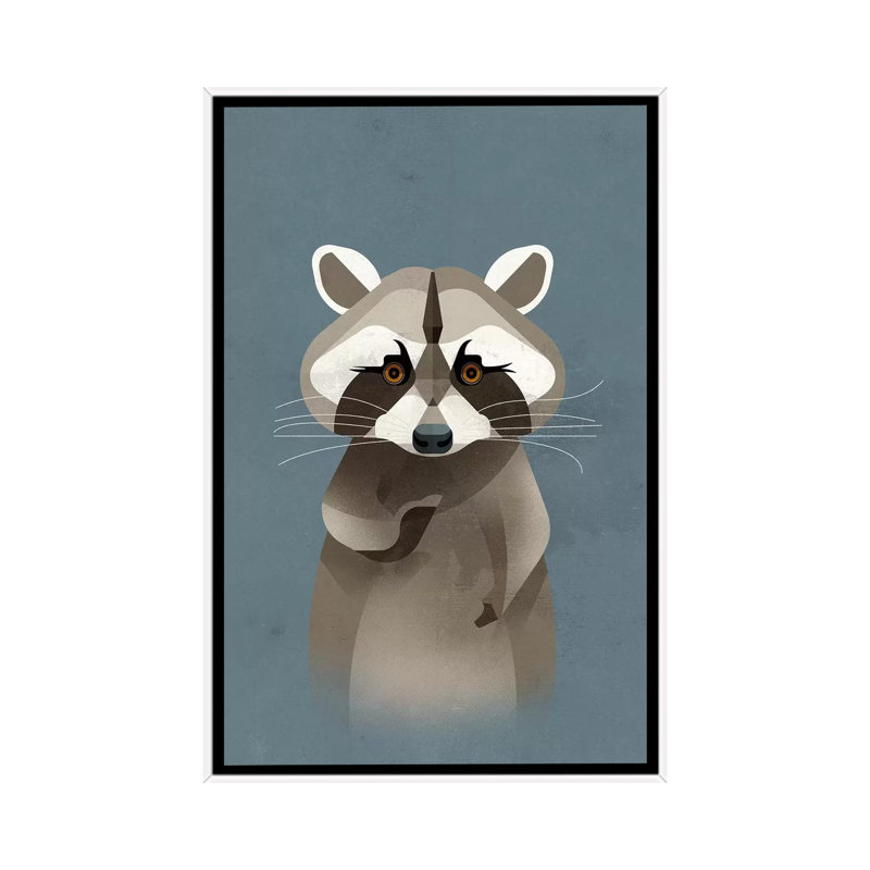 Racoon by Dieter Braun - Print on Canvas, 101.6 cm H x 66.04 cm W, White Framed