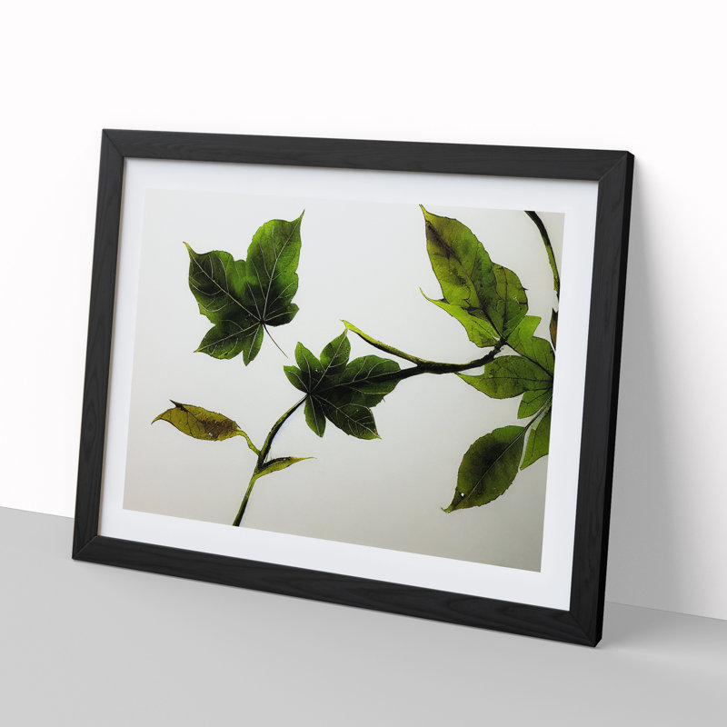 Garden Leaves - Single Picture Frame Print, Black Framed, 46cm H x 64cm W x 2cm D