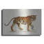 «Walking Tiger Light» par Silvia Vassileva-1359747906