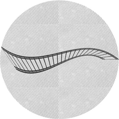 Indoor Rug