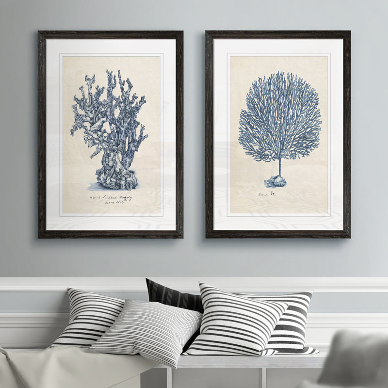 " Sea Coral Study III " 2 - Pieces, White, Ebony Framed, 24" H x 18" W x 1.25" D