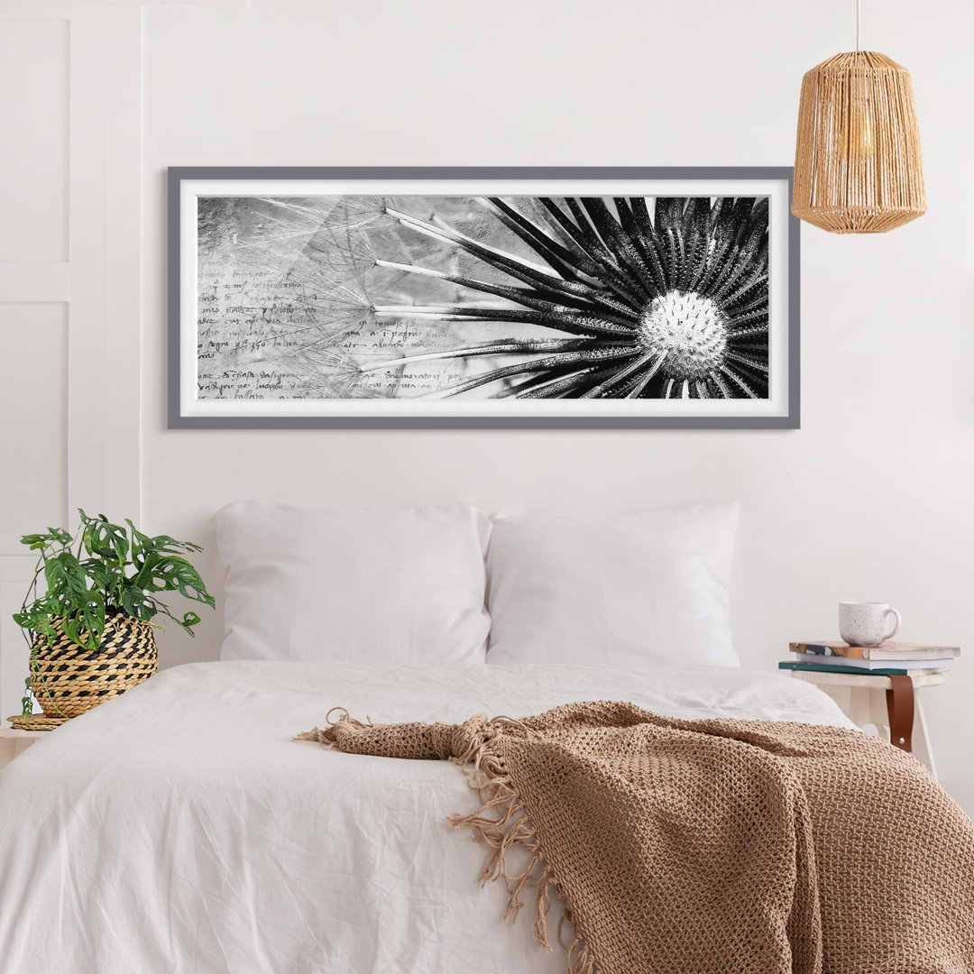 Gerahmtes Poster Dandelion Black & White