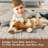 Randolph Machine Washable Rug Non-Shedding Rug for Living Room Bordered Design Modern Rug Soft Fluffy Pile Throw Rug Indoor Carpet Ultra-Thin Floor Cover for Bedroom Hallway Dining Room Kitchen Office Playroom-2119688051