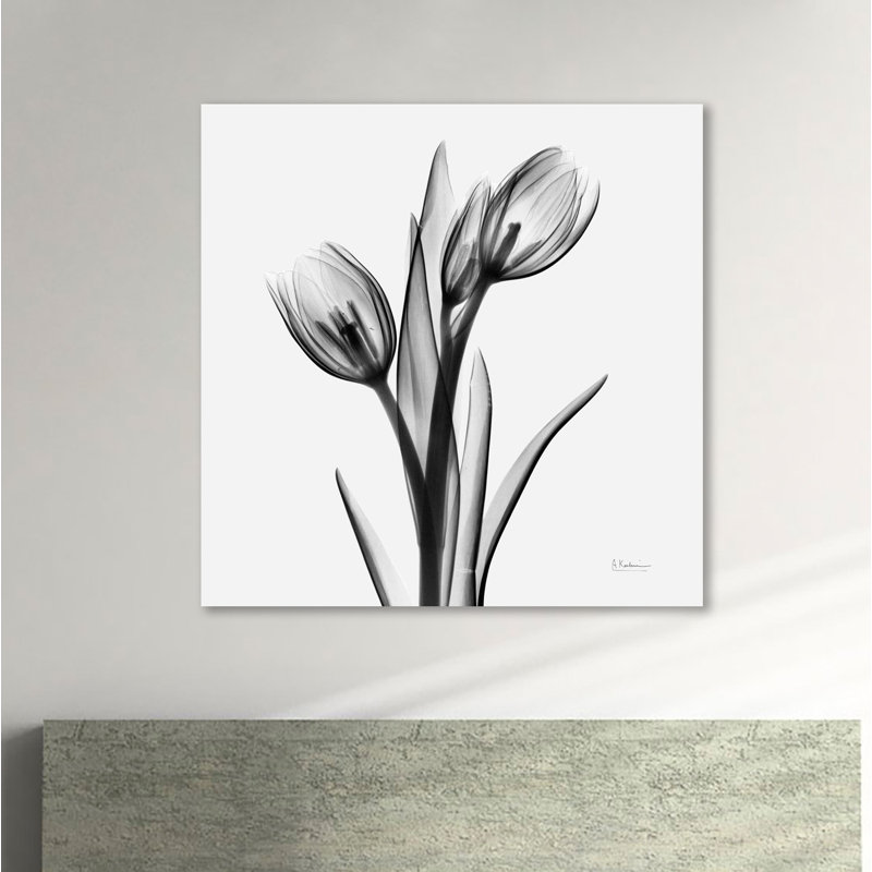 «Black and White Tulips», toile tendue par Albert Koetsier, H 24 po x l 24 po x P 1,5 po