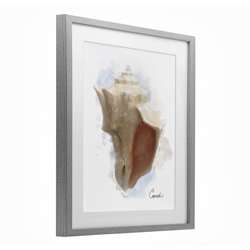 Reproduction sous verre Honeybloom Coastal Conch, conception par Matthew Piotrowicz, H 16 po x l 13 po, Cadre de ferme gris