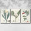Ensemble de 3 pièces encadrées sur toile Soft Tropical IV-97706664-97706657