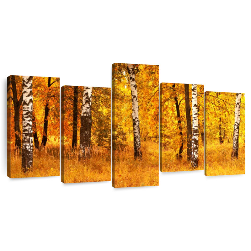 Forêt de bouleaux dorés Harnek, H 24 po x l 49 po