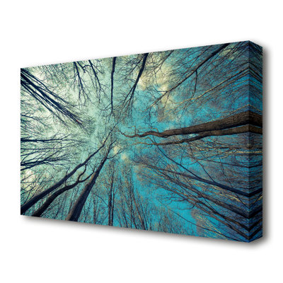 Sky Of Trees Forest - Wrapped Canvas Print