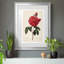 Red Botanical III - cadre photo, impression-1923949963-1923949957